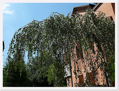 A 014 * 2048 x 1536 * (1.53MB)